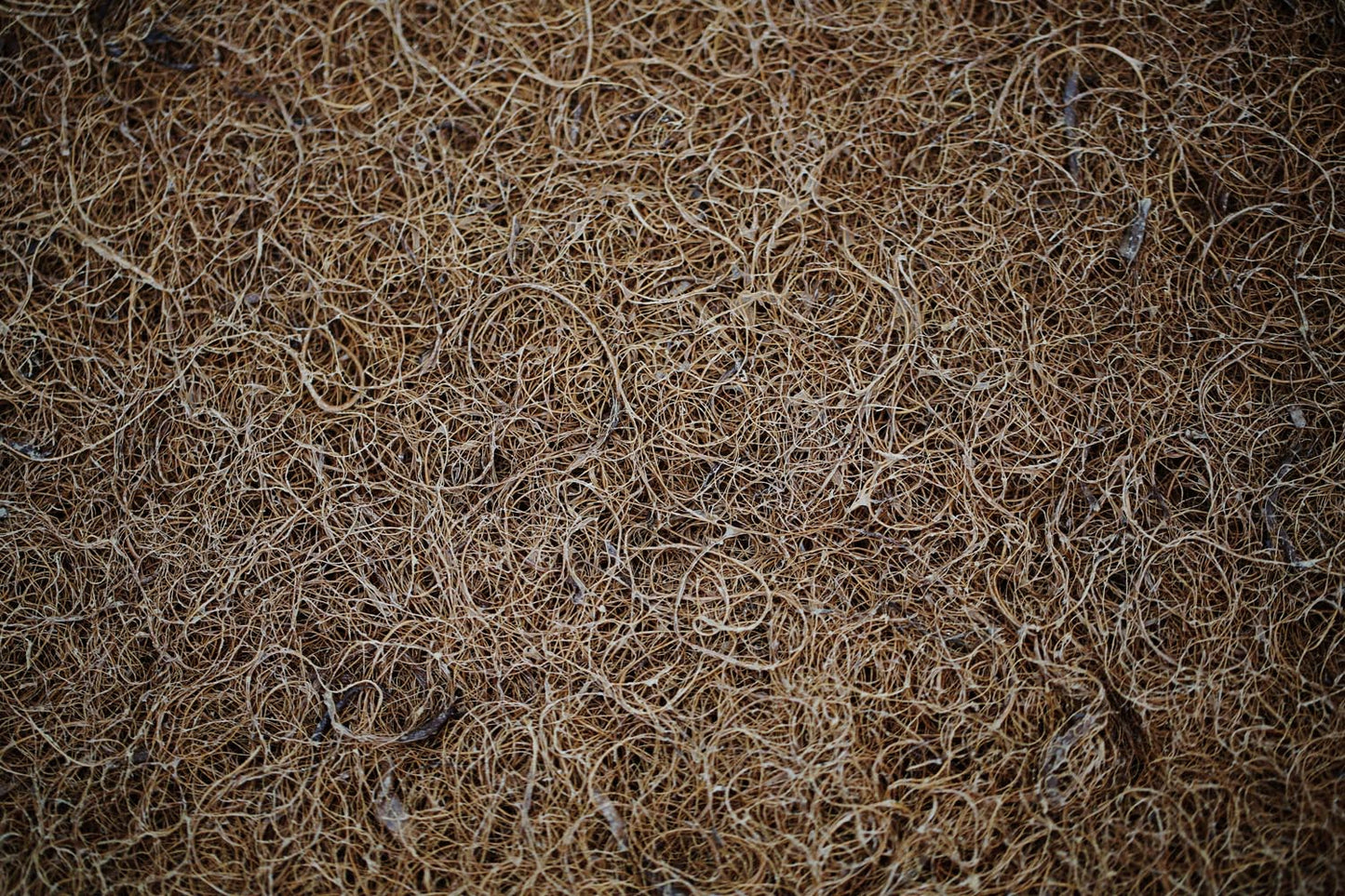Natural Coir DISPLAY Bed Rug by Savvy Rest