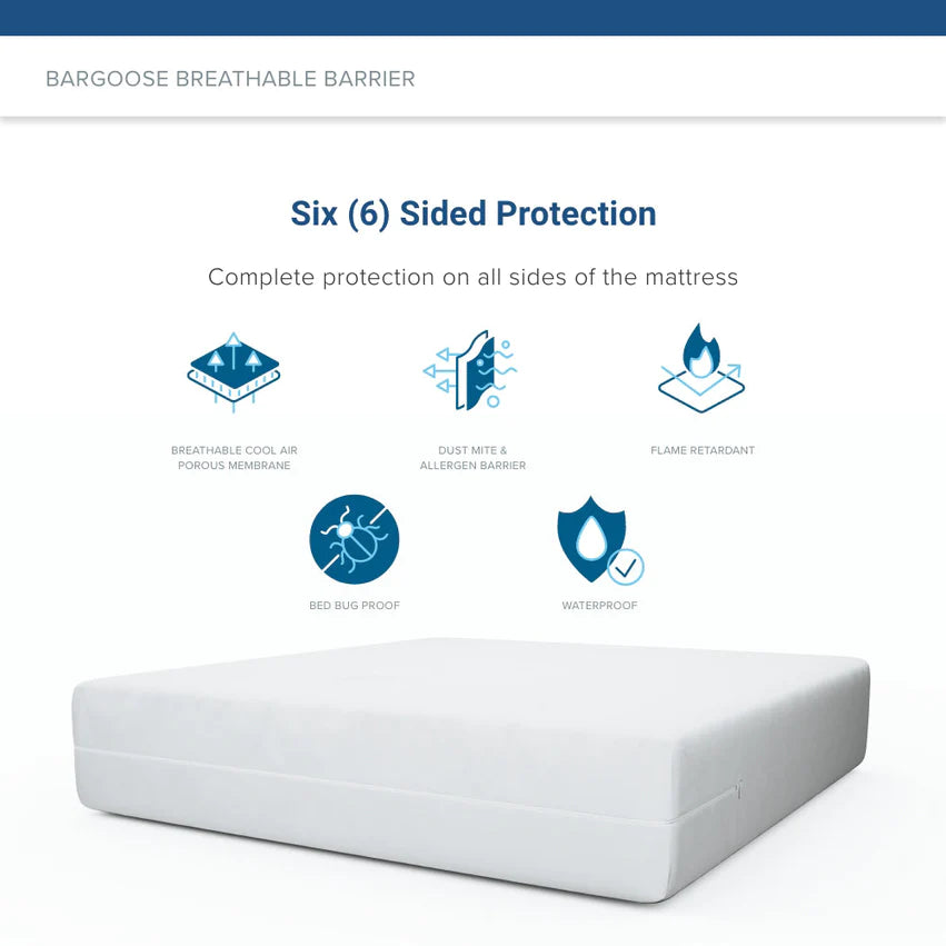 Clean Air Allergy & Bed Bug Mattress Protector