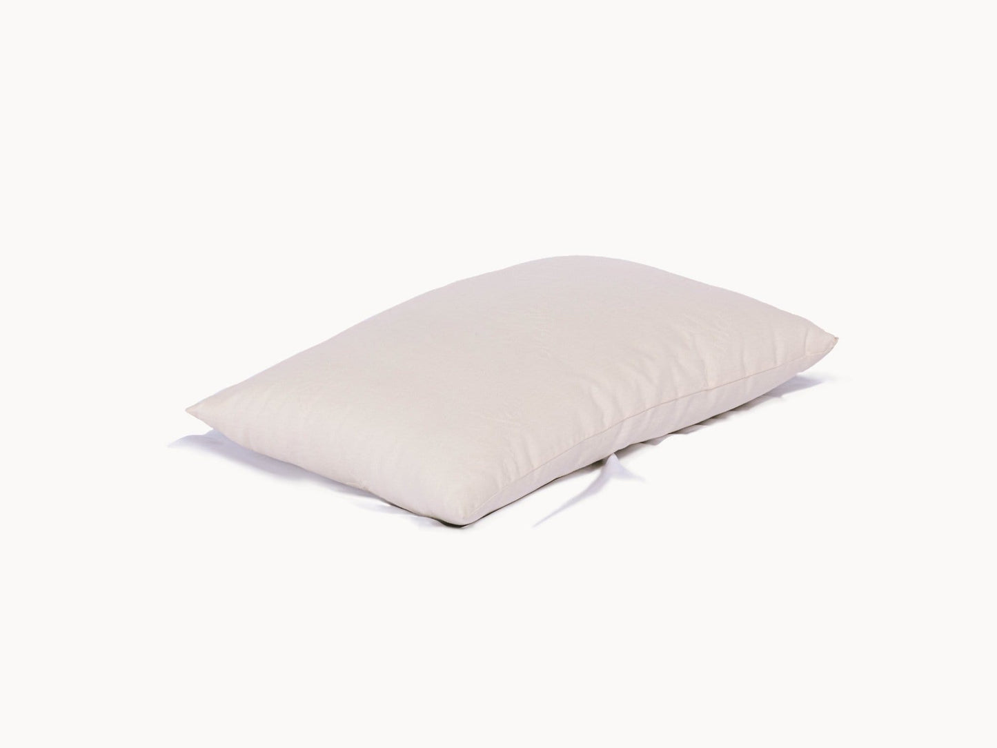 Pillows Organic Cotton Pillow by Ivy Organics IVY Organics