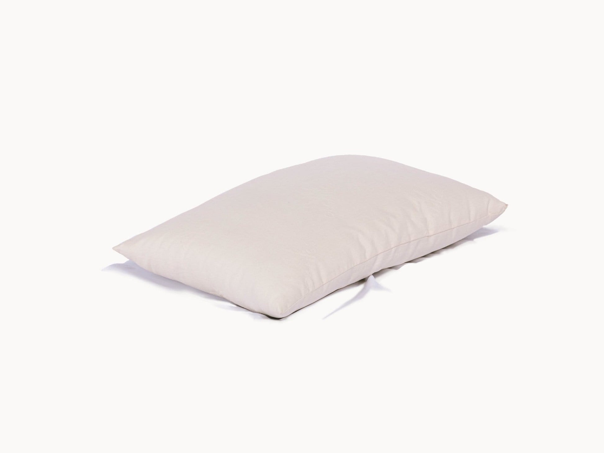 Pillows Organic Cotton Pillow by Ivy Organics IVY Organics