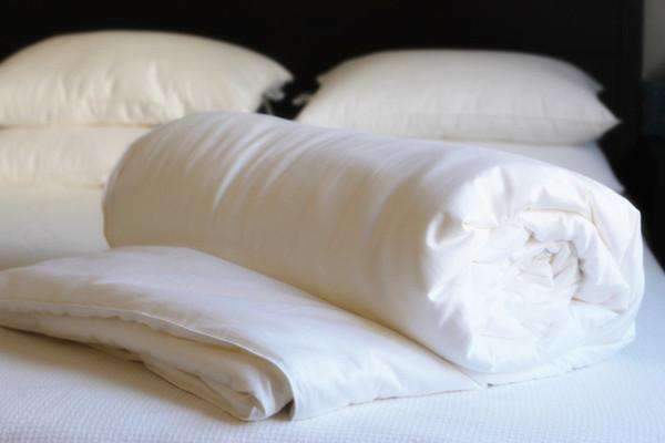 Comforters Silk Filled Comforter with Cotton Cover by Mari Ann Mari Ann