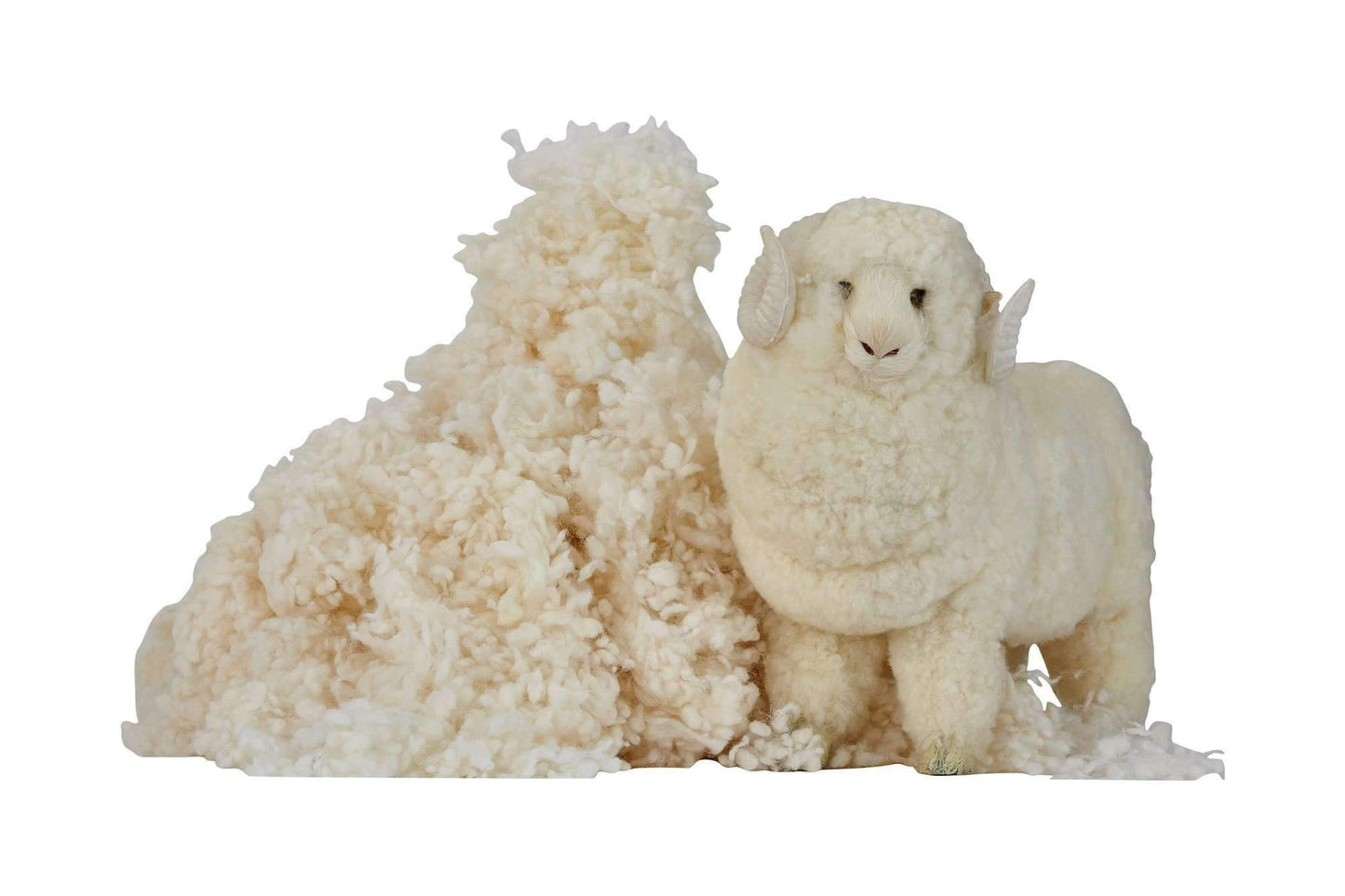 Pillows myWoolly Pillow™ by Sleep & Beyond Sleep & Beyond