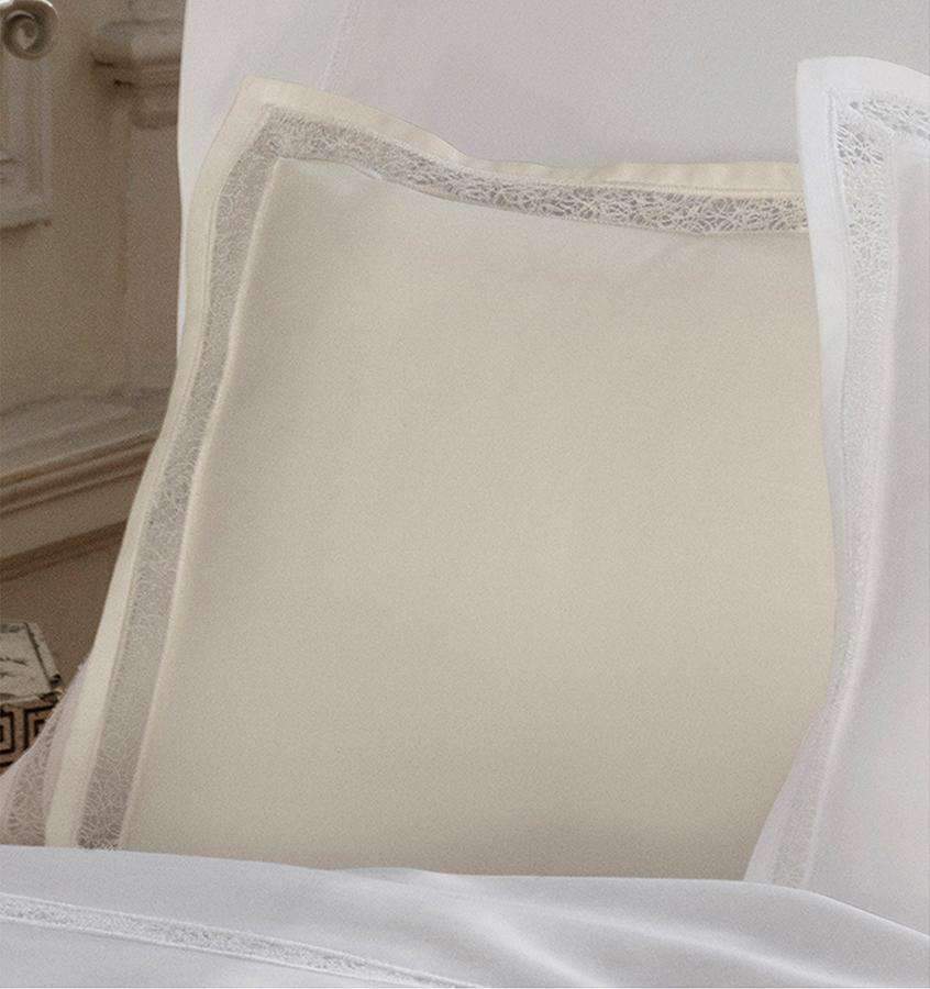 Shams Giza 45 Trina Shams by Sferra Sferra